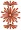 Flowers Embroidery Design
