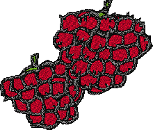 Fruit free pes format singer embroidery designs downloads