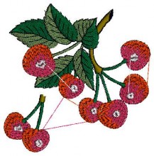Fruits Embroidery Design