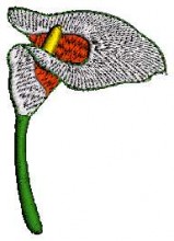 Flowers Embroidery Design