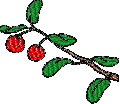 Cherries bernina embroidery designs machine embroidery design