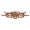 Tribal embroidery design