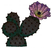 Baby Embroidery designs