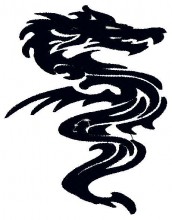 chinese black tribal dragon embroidery designs for babies