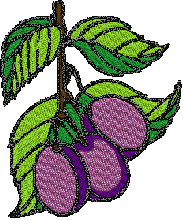 Fruit bernina free embroidery designs machine embroidery design