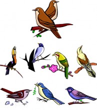 Birds Embroidery designs-Embroiderydesigns.name