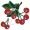 Fruits Embroidery Design
