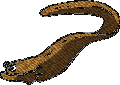 eel fish free embroidery designs download brother