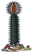 Baby Embroidery designs