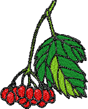 Fruit bernina free embroidery designs download free embroidery downloads